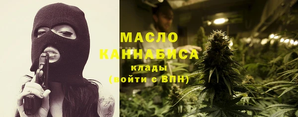 МДПВ Гусев