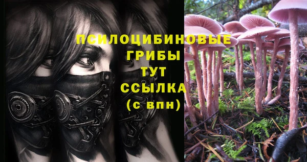 скорость Гусь-Хрустальный