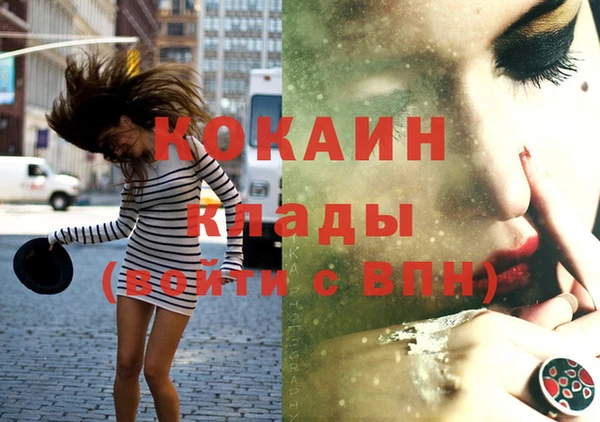 МДПВ Гусев