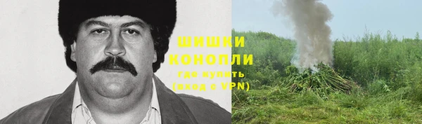 ешки Гусиноозёрск
