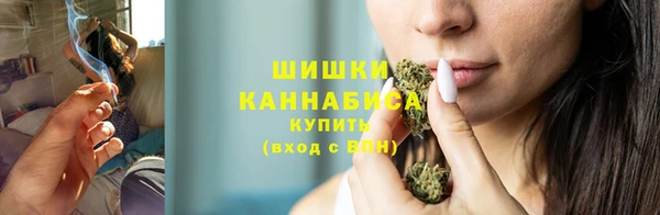 МДПВ Гусев