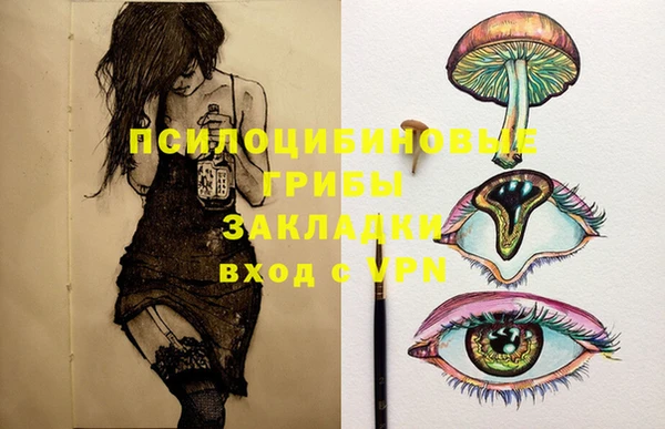 МДПВ Гусев
