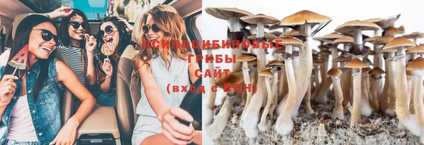 ешки Гусиноозёрск