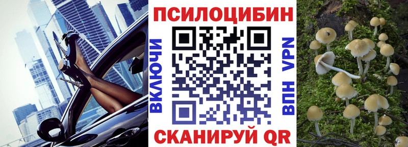 дарк нет как зайти  Чадан  Псилоцибиновые грибы мухоморы 